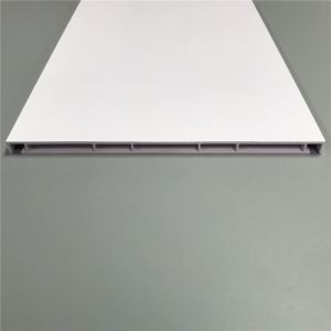 পিপি প্রোফাইলগুলি প্লাস্টিকের শীটগুলি পিভিসি / পিসি / এবিএস / এইচডিপিই / হিপস / পিএমএমএ